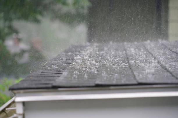 Best Roof Maintenance and Cleaning  in Hokendauqua, PA